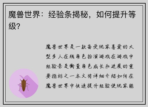 魔兽世界：经验条揭秘，如何提升等级？